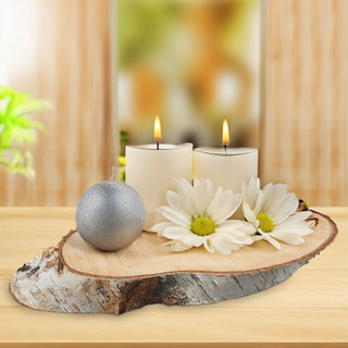 Baumscheibe 4er Set Birke 29x14x2,5cm Holzscheibe Naturprodukt Scheibe Holz Holzplatte Dekoelement