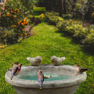 Vogeltränke mit zwei Vögeln Zement 27x20cm Wasserbecken Vogelbad Vogelbecken Gartendekoration