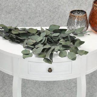 Eycalyptuszweige großblättrig Bündel 65-75cm grün Zweig getrocknet Dekozweige Strauchzweige Trockenpflanze konserviert