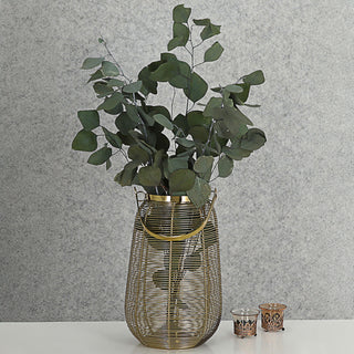 Eycalyptuszweige großblättrig Bündel 65-75cm grün Zweig getrocknet Dekozweige Strauchzweige Trockenpflanze konserviert