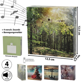 1/4x Soundbox Bewegungsmelder 4 Motive 12x12x3,5cm Pappe Kunststoff batteriebetrieben Meditationssound Lautstärke regulierbar