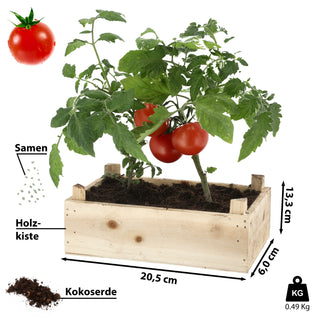 Anzuchtset 'Tomate' in Holzbox mit Inlay 20,5x13,3x6cm Samen Kokoserde Anzuchtkiste Tomatenkiste