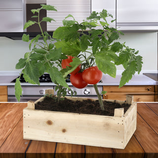 Anzuchtset 'Tomate' in Holzbox mit Inlay 20,5x13,3x6cm Samen Kokoserde Anzuchtkiste Tomatenkiste