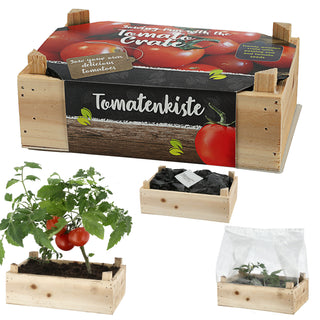 Anzuchtset 'Tomate' in Holzbox mit Inlay 20,5x13,3x6cm Samen Kokoserde Anzuchtkiste Tomatenkiste