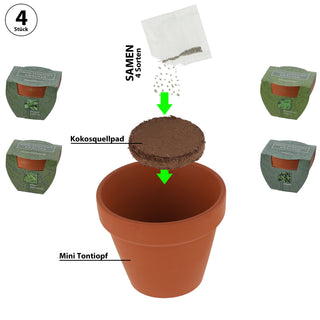 Kräutersamen 4er Set Tontöpfe Kokosquellpad Schnittlauch Petersilie Basilikum Minze Kräutergarten