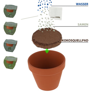 Kräutersamen 4er Set Tontöpfe Kokosquellpad Schnittlauch Petersilie Basilikum Minze Kräutergarten