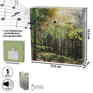 1/4x Soundbox Bewegungsmelder 4 Motive 12x12x3,5cm Pappe Kunststoff batteriebetrieben Meditationssound Lautstärke regulierbar