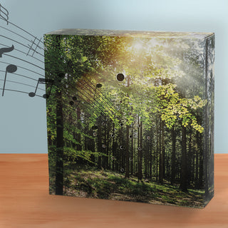 1/4x Soundbox Bewegungsmelder 4 Motive 12x12x3,5cm Pappe Kunststoff batteriebetrieben Meditationssound Lautstärke regulierbar