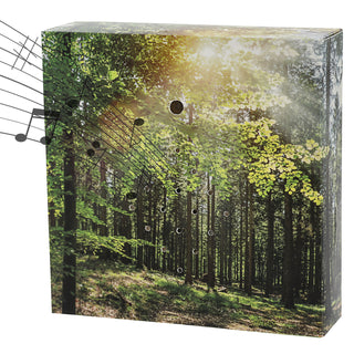 1/4x Soundbox Bewegungsmelder 4 Motive 12x12x3,5cm Pappe Kunststoff batteriebetrieben Meditationssound Lautstärke regulierbar