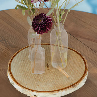 Baumscheibe 12er Set Birke Ø12x1cm Holzscheibe Naturprodukt Scheibe Holz Holzplatte Dekoelement