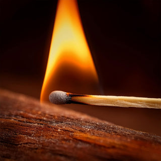 XL Kaminstreichhölzer 50er Pack L20cm 5x21,5x5cm Holz Karton Zündhölzer Streichholz Grillstreichholz Lagerfeuer Kamin