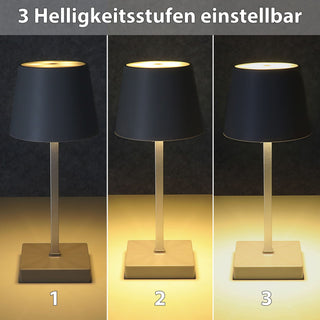 LED Tischleuchte grau / anthrazit 17 LEDs 8,5x32cm ABS PS Touchfunktion batteriebetrieben warmweiß 3 Helligkeitsstufen 7 Lumen Tischbeleuchtung