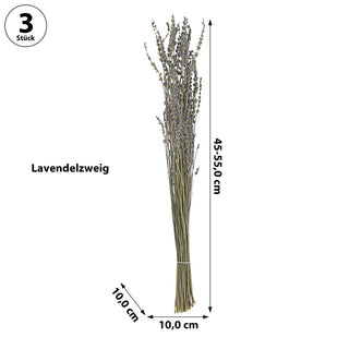 Lavendelzweig Bündel 45-55cm grün blau Lavendel getrocknet Dekozweige Lavendelstrauß Trockenpflanze konserviert