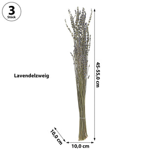 Lavendelzweig Bündel 45-55cm grün blau Lavendel getrocknet Dekozweige Lavendelstrauß Trockenpflanze konserviert