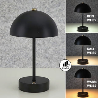LED Leuchte 'Oslo' schwarz USB 16 LEDs Eisen Ø15x25,5cm 3 Weißtöne Li-ion Akku 50cm Ladekabel stufenlos dimmbar Tischeuchte Kugel-Lampenschirm