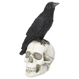Rabe auf Totenschädel Polyresin 11x14x8cm schwarz weiß Dekofigur Skull Totenkopf Krähe Halloween Gothic Dekoration
