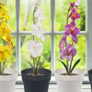 Übertopf 6er Set Kunststoff 15x18cm weiß anthrazit Blumentopf Pflanztopf Topf für Blumen Kräuter Pflanzen