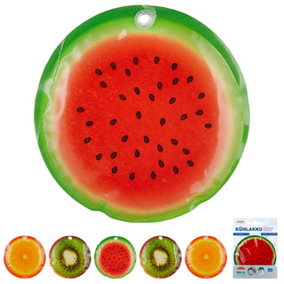 Kühlakku Früchte 6er Set 15x1cm Kühlelemente wiederverwendbar Orange Kiwi Melone Coolpacks Kühltasche Kühlpack