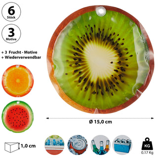 Kühlakku Früchte 6er Set 15x1cm Kühlelemente wiederverwendbar Orange Kiwi Melone Coolpacks Kühltasche Kühlpack