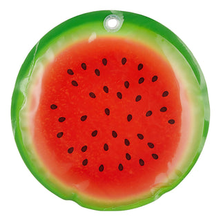 Kühlakku Früchte 6er Set 15x1cm Kühlelemente wiederverwendbar Orange Kiwi Melone Coolpacks Kühltasche Kühlpack