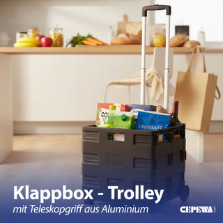 Klappbox Trolley schwarz 42x40x37cm Kunststoff Aluminium Klappkiste belastbar bis 20 Kg klappbar Transportbox Teleskopgriff