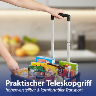 Klappbox Trolley schwarz 42x40x37cm Kunststoff Aluminium Klappkiste belastbar bis 20 Kg klappbar Transportbox Teleskopgriff