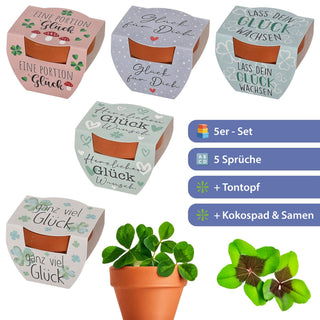 Anzuchtset Glücksklee 5er Set Tontöpfchen Kokosquellpad Samen Kleeblatt Glück verschiedene Motive Glücksbringer Kleeblatt