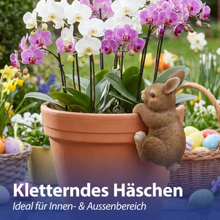 Blumentopfanhänger Hase 3er Set 5,5x10x5cm Polyresin Blumentopf Gartenzaun Häschen Osterhase Osterdekoration Topfhänger