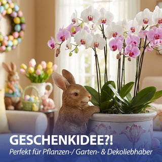 Blumentopfanhänger Hase 3er Set 5,5x10x5cm Polyresin Blumentopf Gartenzaun Häschen Osterhase Osterdekoration Topfhänger