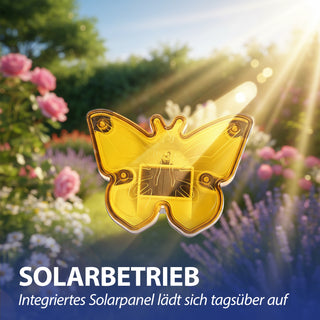 LED Solarstecker Schmetterling 12er Set Kunststoff 9x8x6,5cm rot lila gelb grün kaltweiß 1 Leds IP44 Beetstecker Solarlicht Gartenbeleuchtung