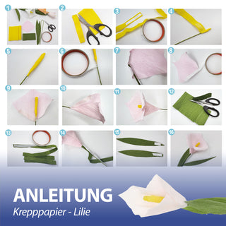 Papierblumen Bastelset DIY 4er Set Krepppapier Styropor mehrfarbig 13,5x26x2cm Tulpe Lilie Gänseblümchen Hortensie Kreativset Dekoblumen selber machen