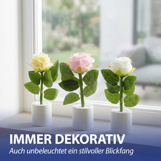 LED Rosen 3er Set Polyester PE 5x17cm creme weiß rosa batteriebetrieben An-/Ausschalter Dekolicht Blume Leuchtrose künstliche Rose mit Blättern