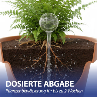 Bewässerungskugel 4er Set 7x28cm Kunststoff transparent/blau Fassungsvermögen 250ml Bewässerungssystem Durstkugel Wasserspender