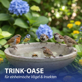 Vogeltränke mit zwei Vögeln Zement 25x14x21,7cm Wasserbecken Vogelbad Vogelbecken Gartendekoration Wasserstelle wetterfest