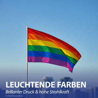 Fahne Regenbogenfarben 6er Set 150x90cm Polyester bunt Dekofahne in LGBTQ-Design Equality Diversity Events Festivals Hissflagge mit Metallösen