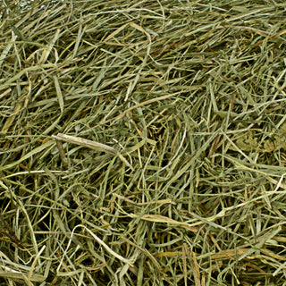 Ostergras 50g grün Bergwiesenheu Dekoheu Heu Osterdeko Osternestfüllung Bastelmaterial Osterkorb Füllung Frühlingsdeko